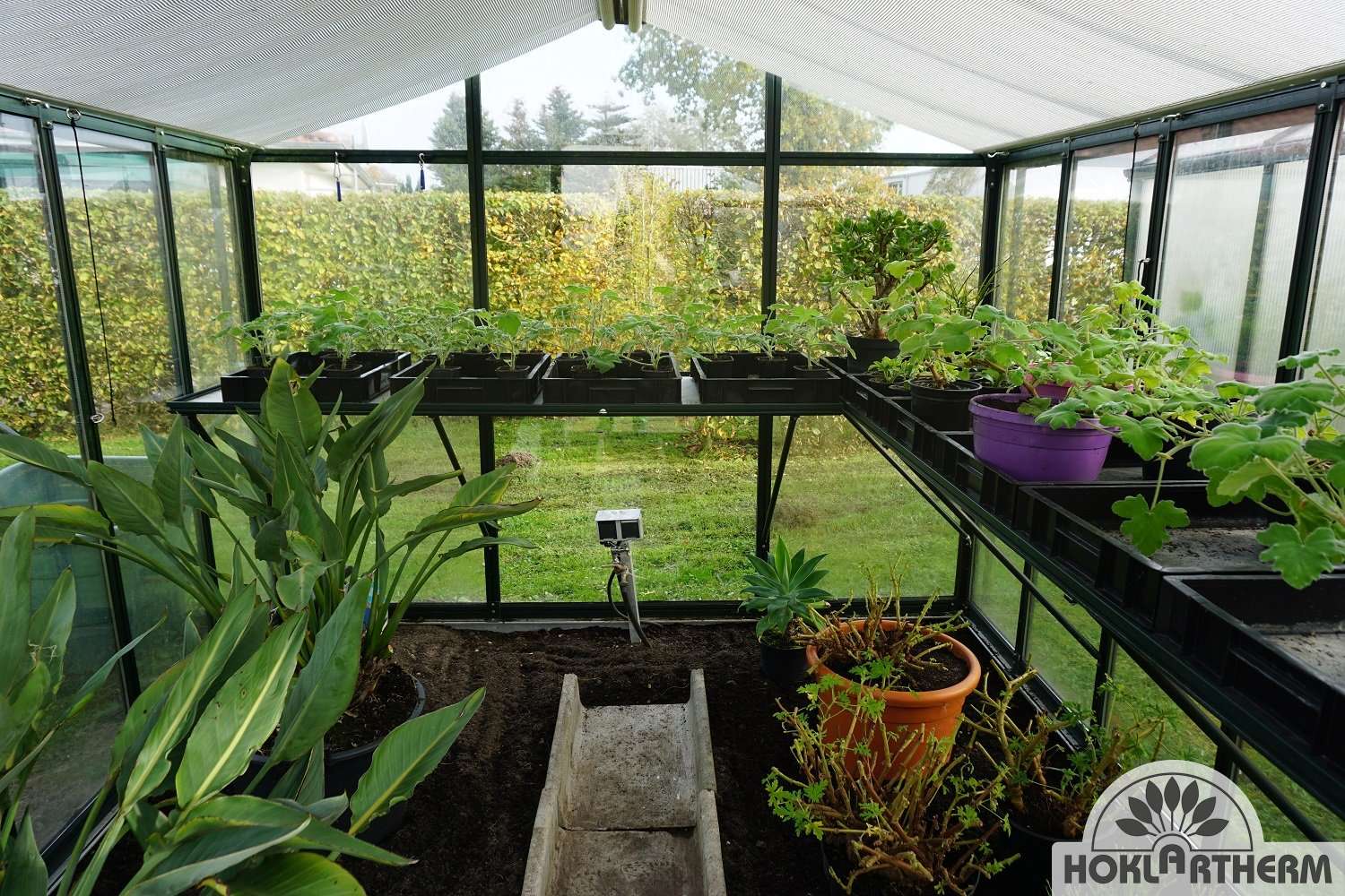 Hoklartherm Gewächshaus "bio-varis"