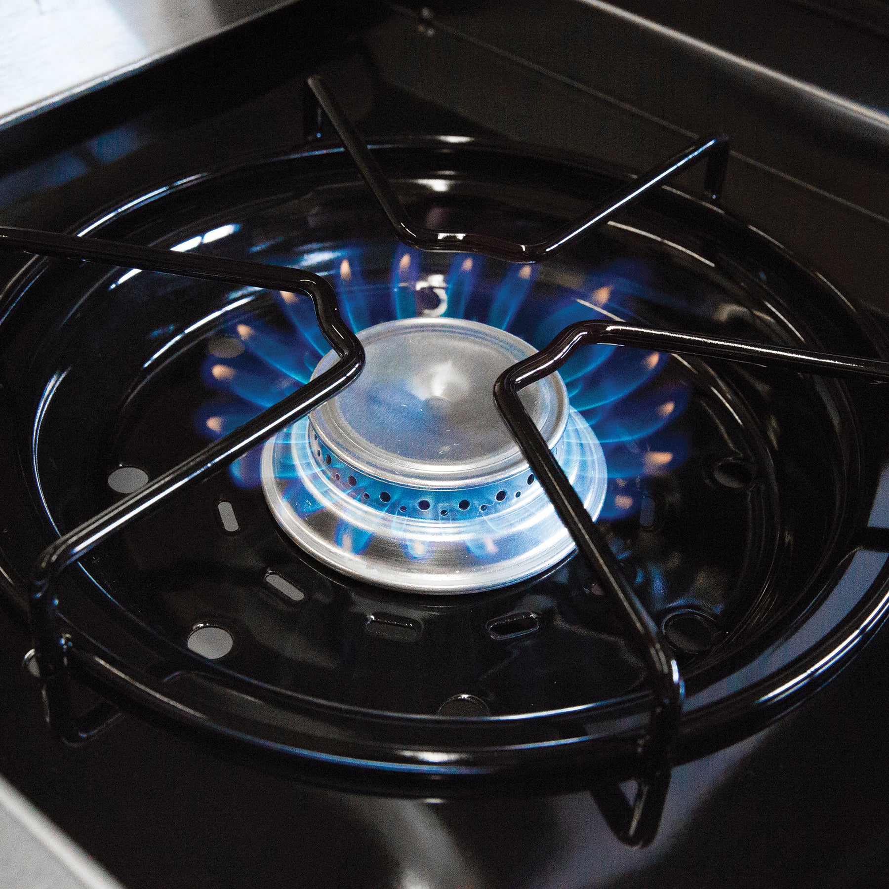 Broil King Regal 490