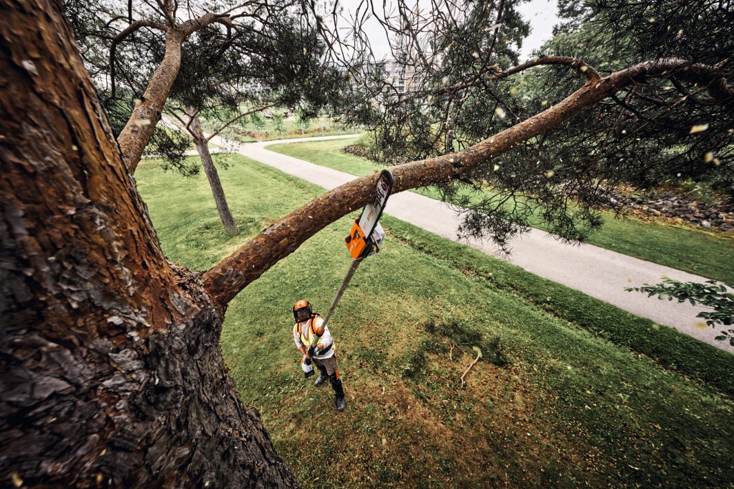 Stihl Akku-Hochentaster HTA 160 B, ohne Akku und Ladegerät