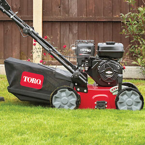 Toro 40 cm Benzin-Vertikutierer