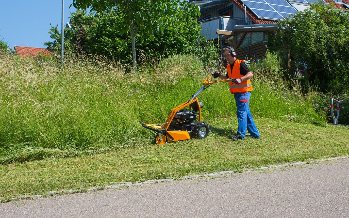 AS 63 4T B&S Wiesenmäher