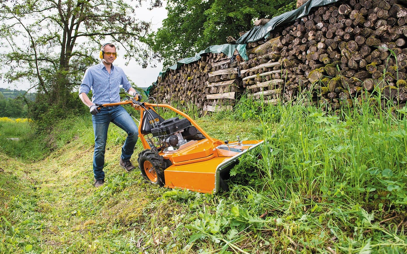 AS 65 2T ES Wiesenmäher