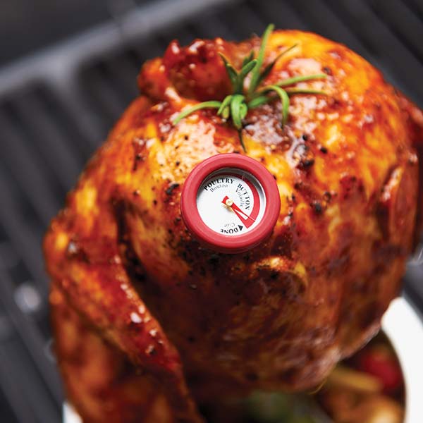 Broil King Mini Einstechthermometer Set
